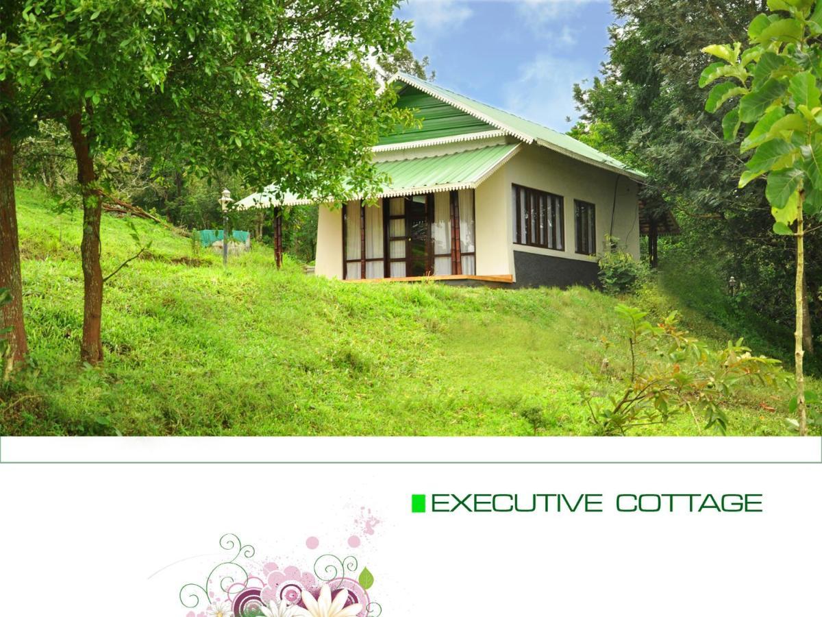 Punarjani Ayurvedic Resorts Ramakkalmedu Zewnętrze zdjęcie
