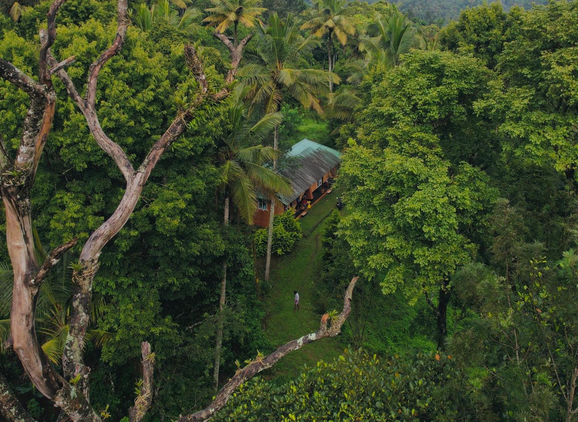 Punarjani Ayurvedic Resorts Ramakkalmedu Zewnętrze zdjęcie