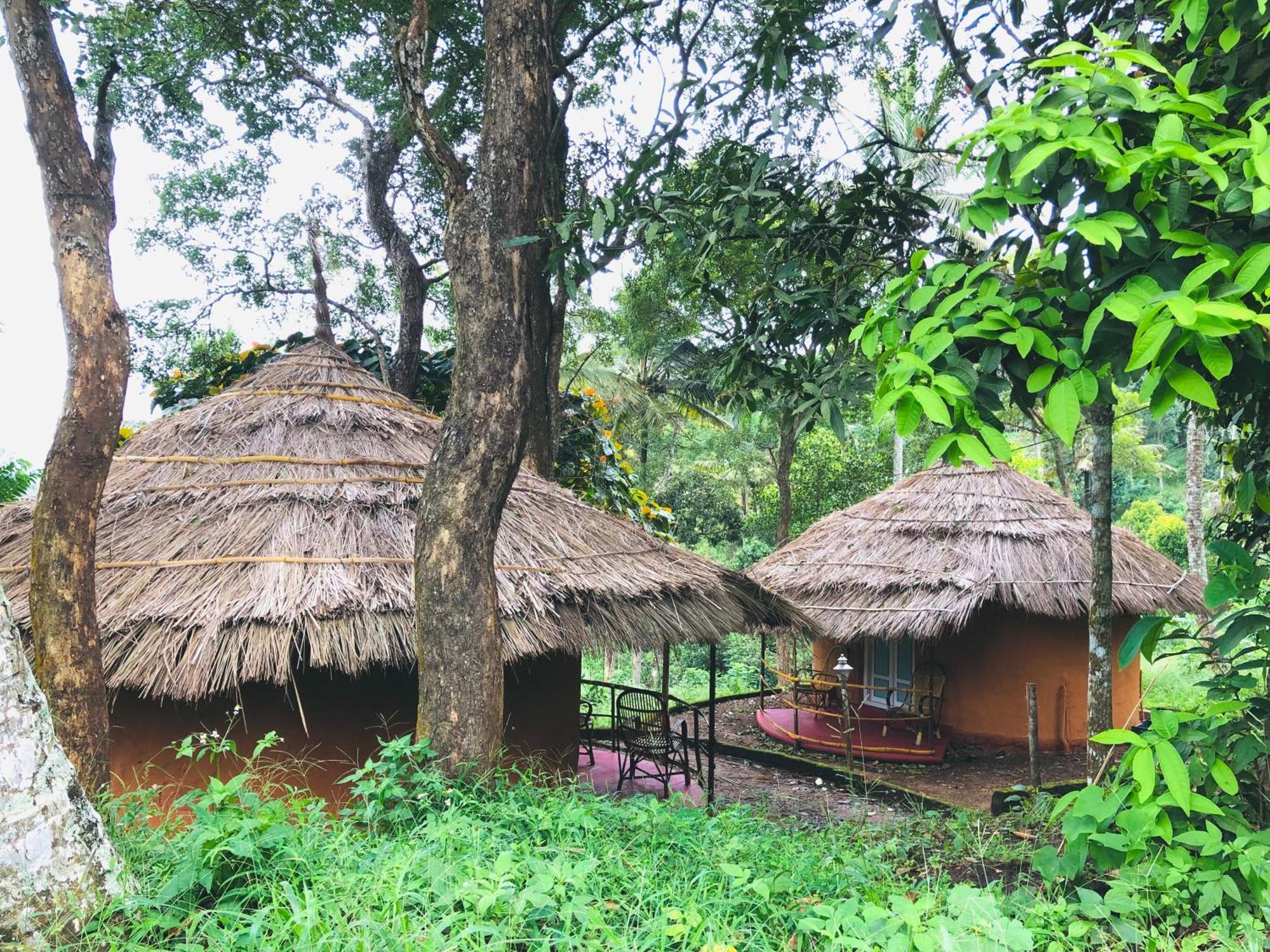 Punarjani Ayurvedic Resorts Ramakkalmedu Zewnętrze zdjęcie