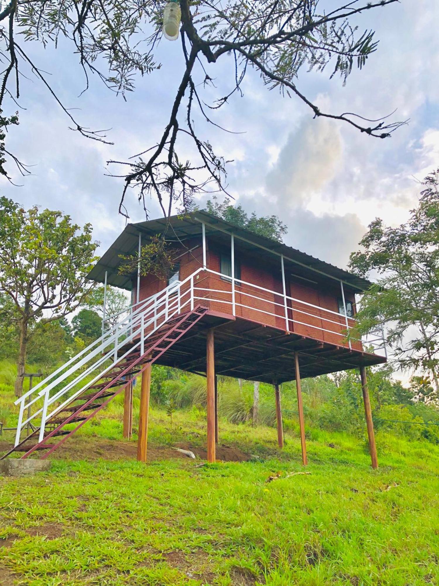 Punarjani Ayurvedic Resorts Ramakkalmedu Zewnętrze zdjęcie